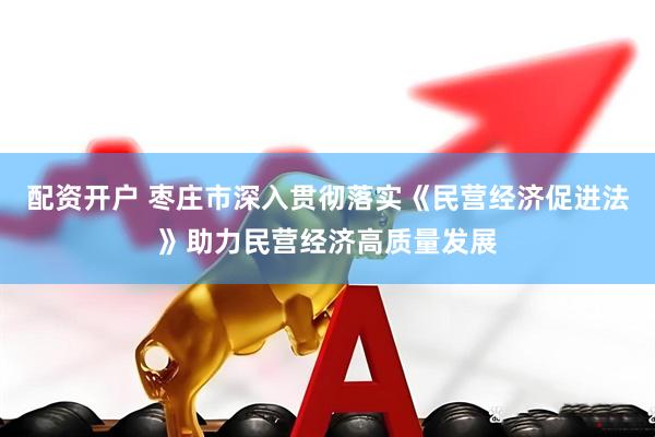 配资开户 枣庄市深入贯彻落实《民营经济促进法》助力民营经济高质量发展