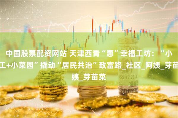 中国股票配资网站 天津西青“惠”幸福工坊：“小手工+小菜园”撬动“居民共治”致富路_社区_阿姨_芽苗菜